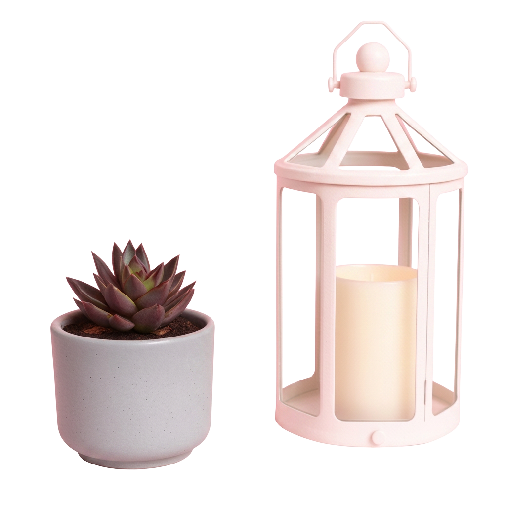 Home Decor